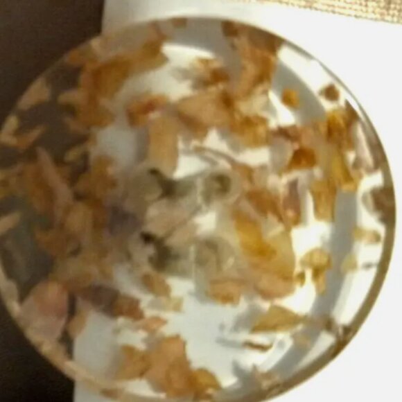 H&M Women’s Oversized Jacket Sz M Beige Wide Sleeve Casual Coat NEW Runs Big - Picture 11 of 15